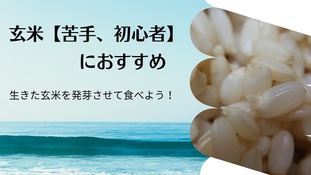 生きた玄米を発芽