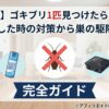 【保存版】ゴキブリを1匹見つけたら即実行！逃がした時の対策から巣の駆除まで完全ガイド