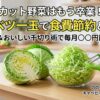 【カット野菜は損？】キャベツ一玉買いで毎月〇〇円節約！